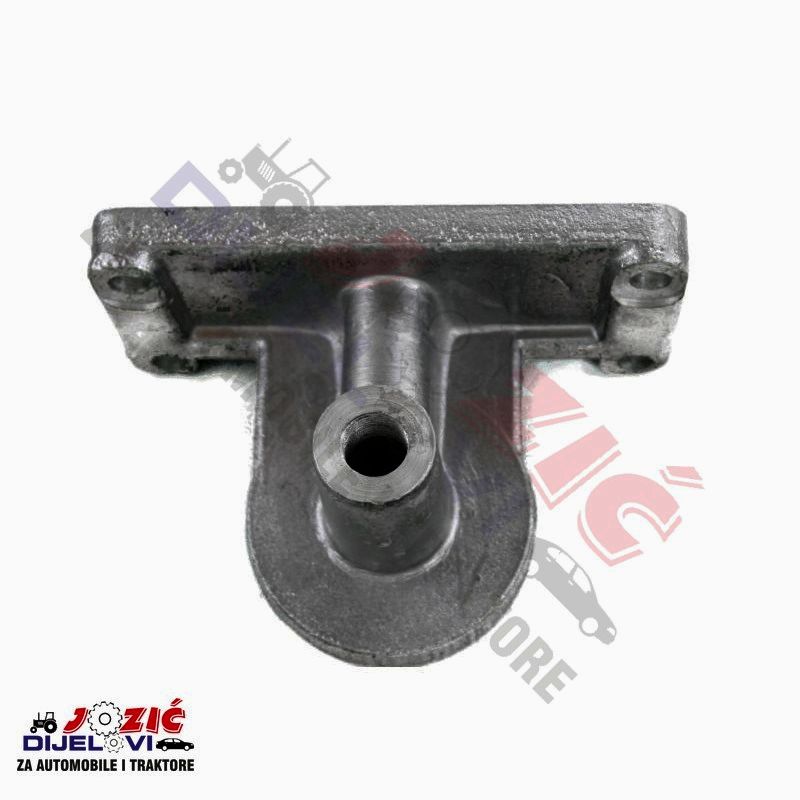 Daisy on the Ohoopee