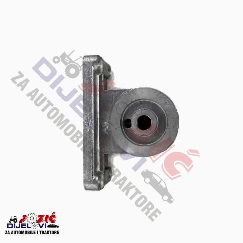 Daisy on the Ohoopee