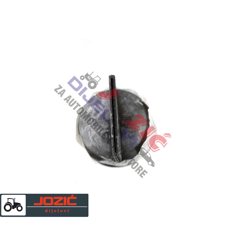 Daisy on the Ohoopee