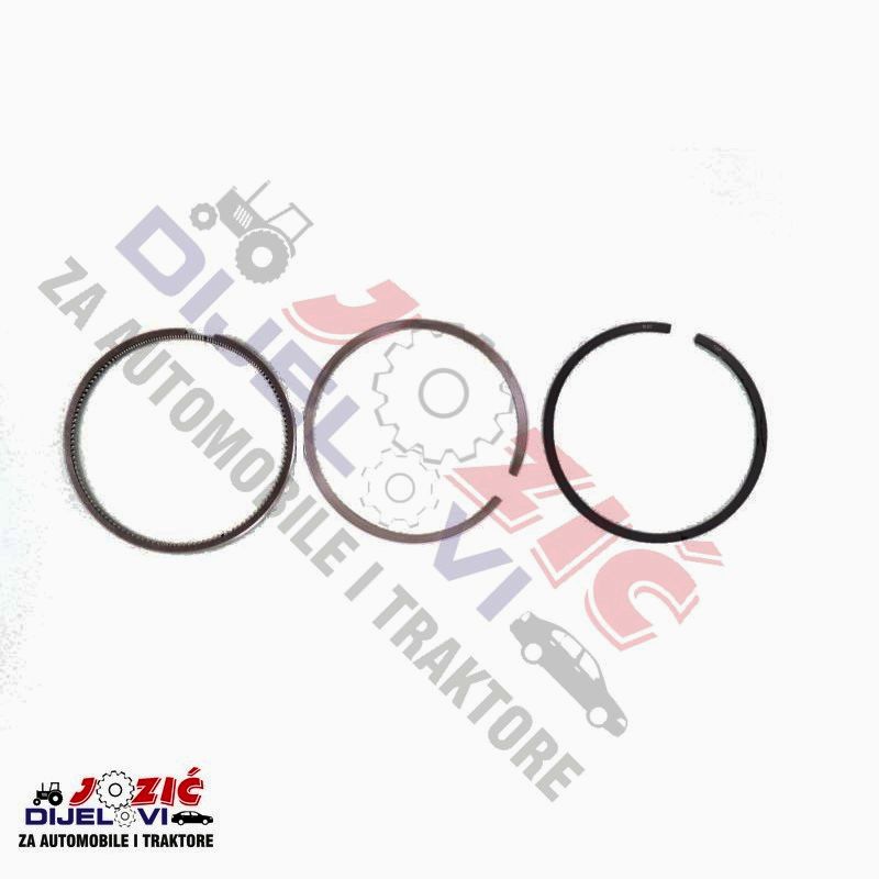 Daisy on the Ohoopee