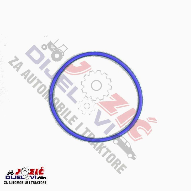 Daisy on the Ohoopee