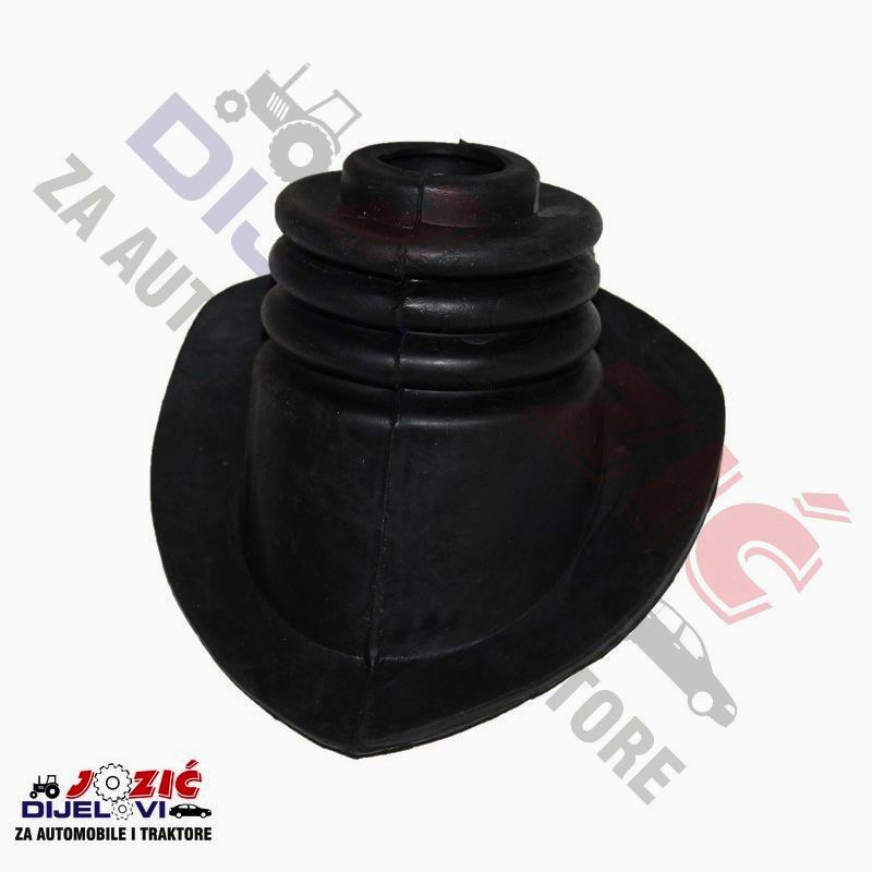 Daisy on the Ohoopee