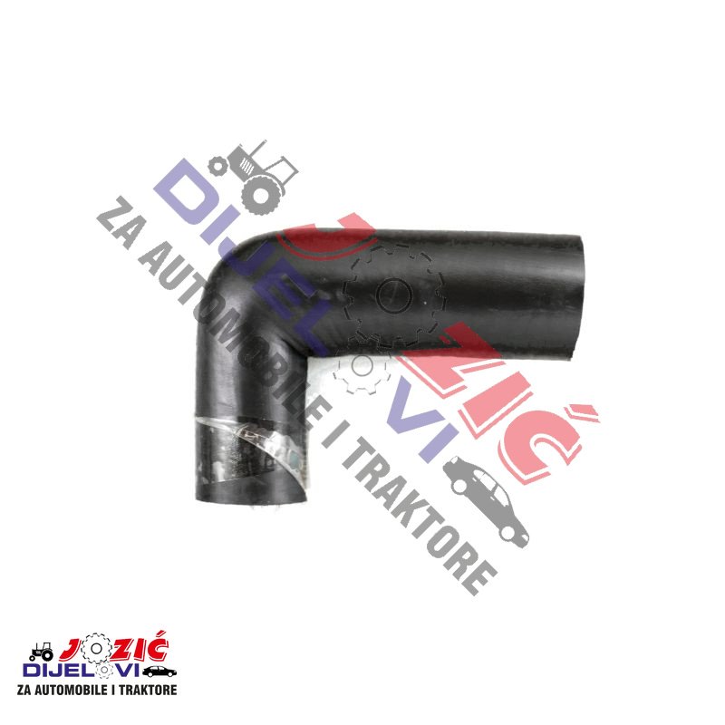 Daisy on the Ohoopee