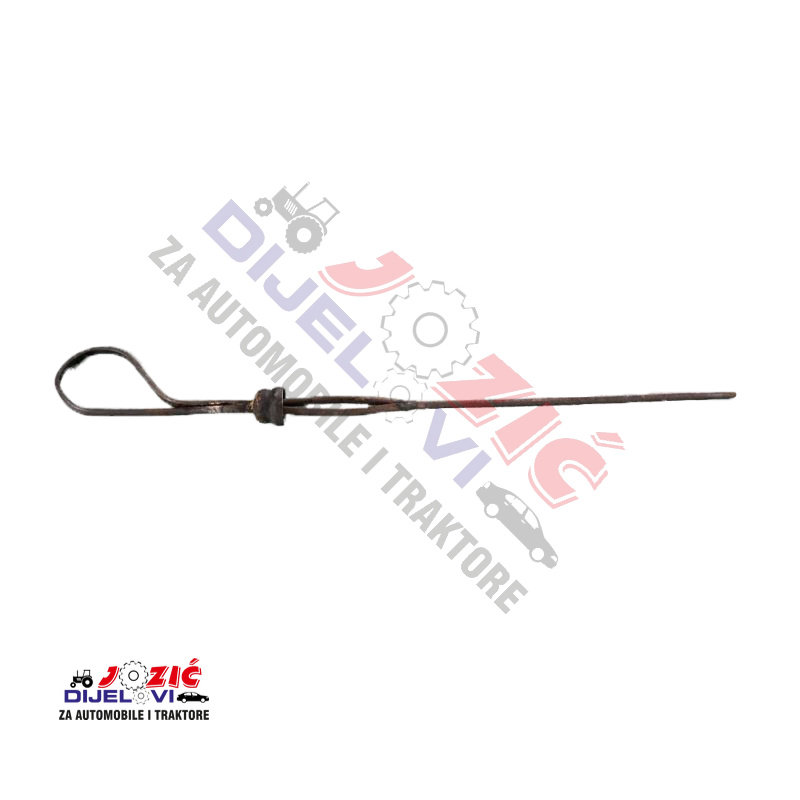 Daisy on the Ohoopee