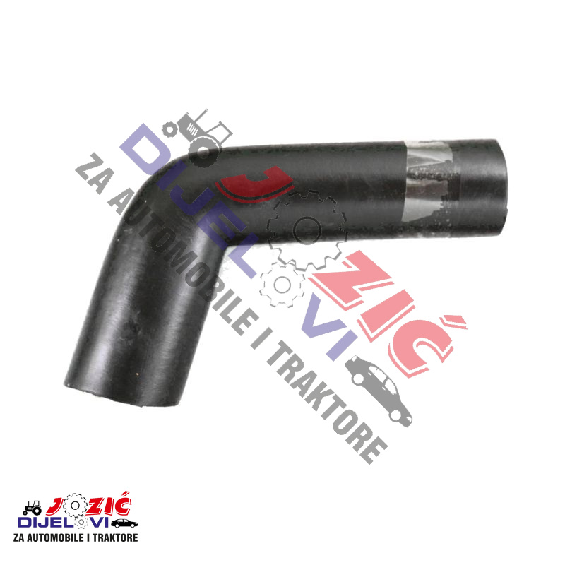 Daisy on the Ohoopee