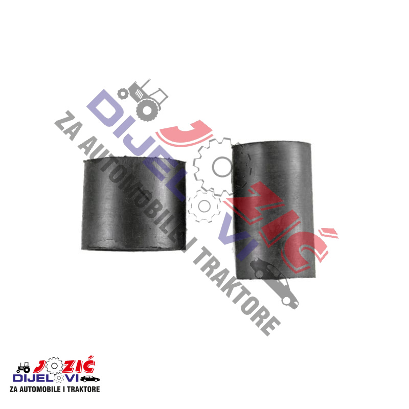 Daisy on the Ohoopee