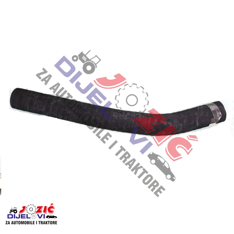 Daisy on the Ohoopee