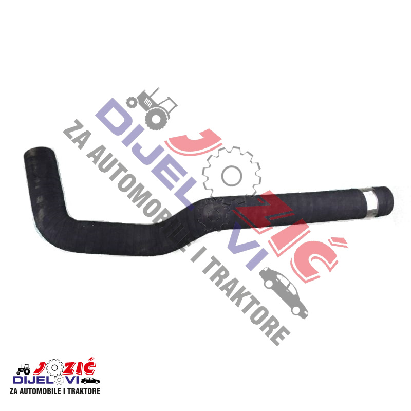 Daisy on the Ohoopee