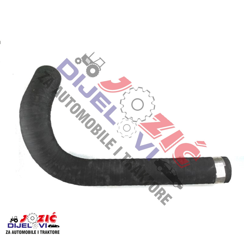 Daisy on the Ohoopee