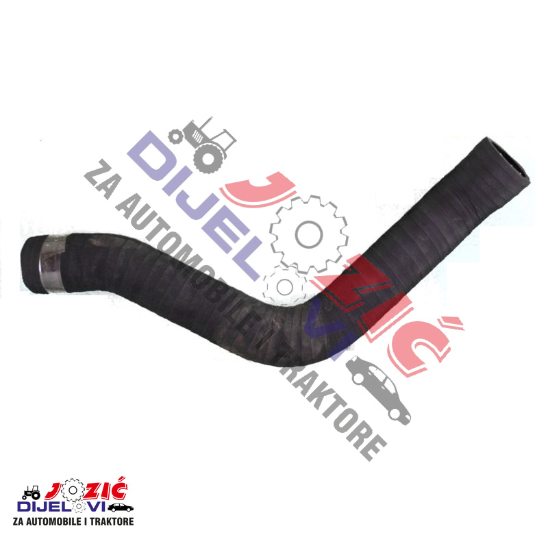 Daisy on the Ohoopee