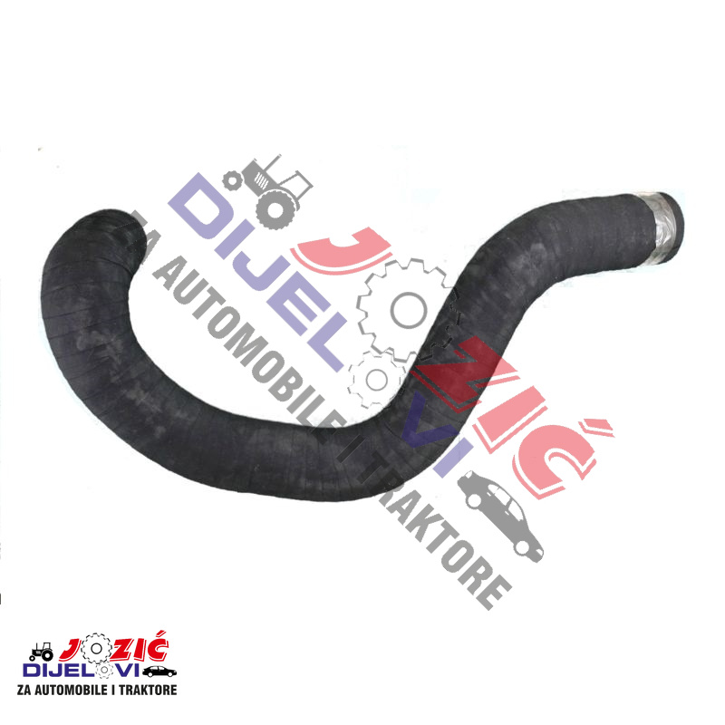 Daisy on the Ohoopee