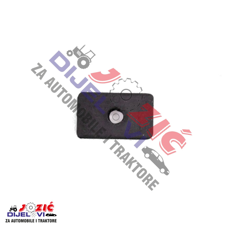 Daisy on the Ohoopee