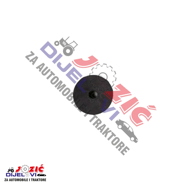 Daisy on the Ohoopee