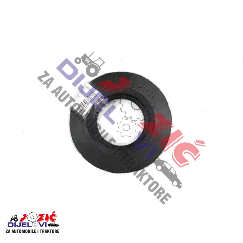 Daisy on the Ohoopee