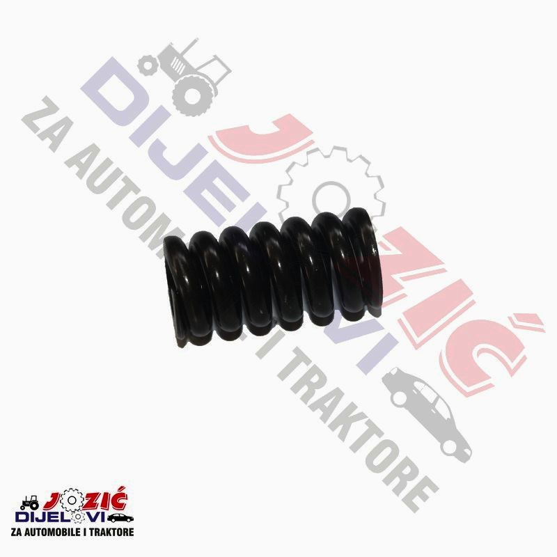 Daisy on the Ohoopee