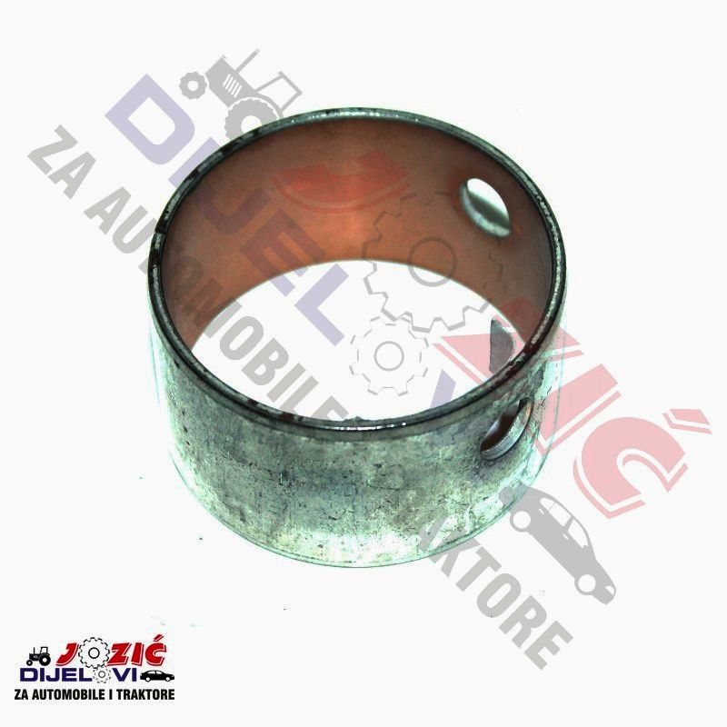 Daisy on the Ohoopee