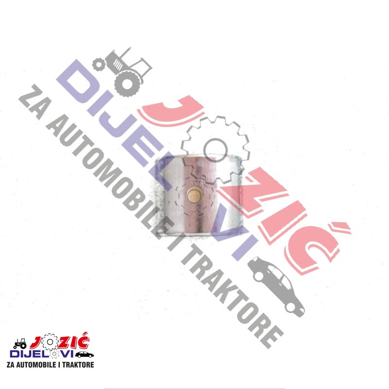 Daisy on the Ohoopee