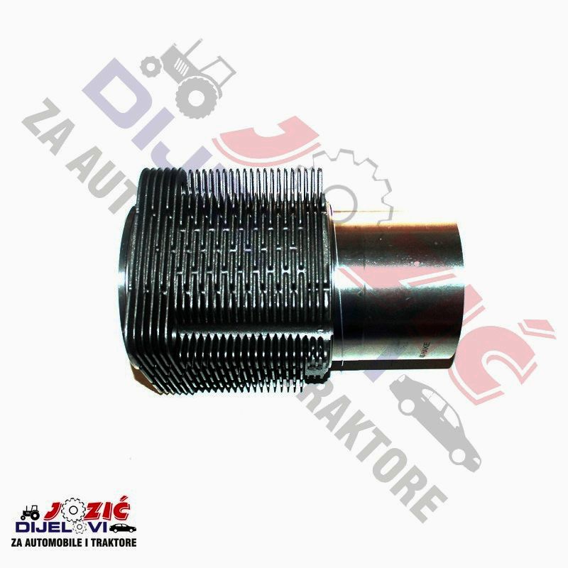 Daisy on the Ohoopee