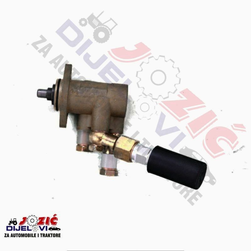 Daisy on the Ohoopee