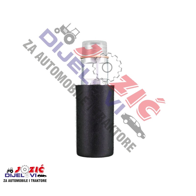 Daisy on the Ohoopee