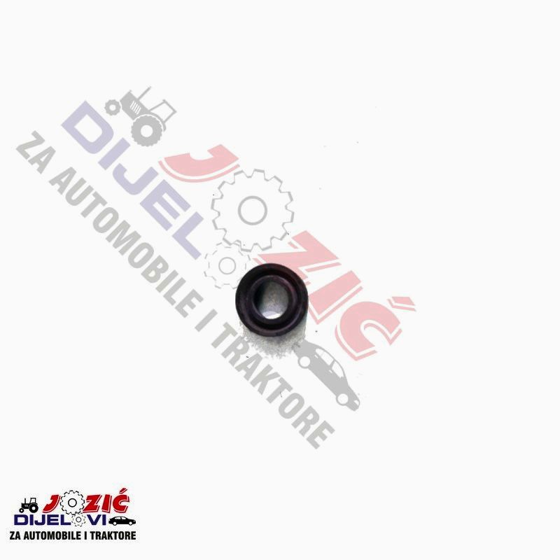 Daisy on the Ohoopee