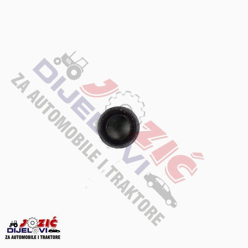 Daisy on the Ohoopee