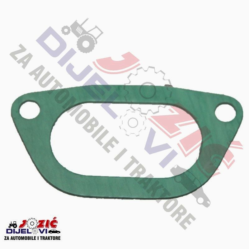 Daisy on the Ohoopee