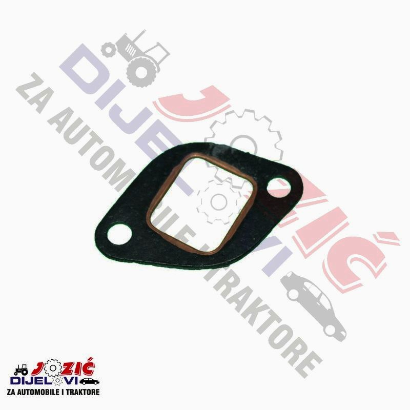 Daisy on the Ohoopee