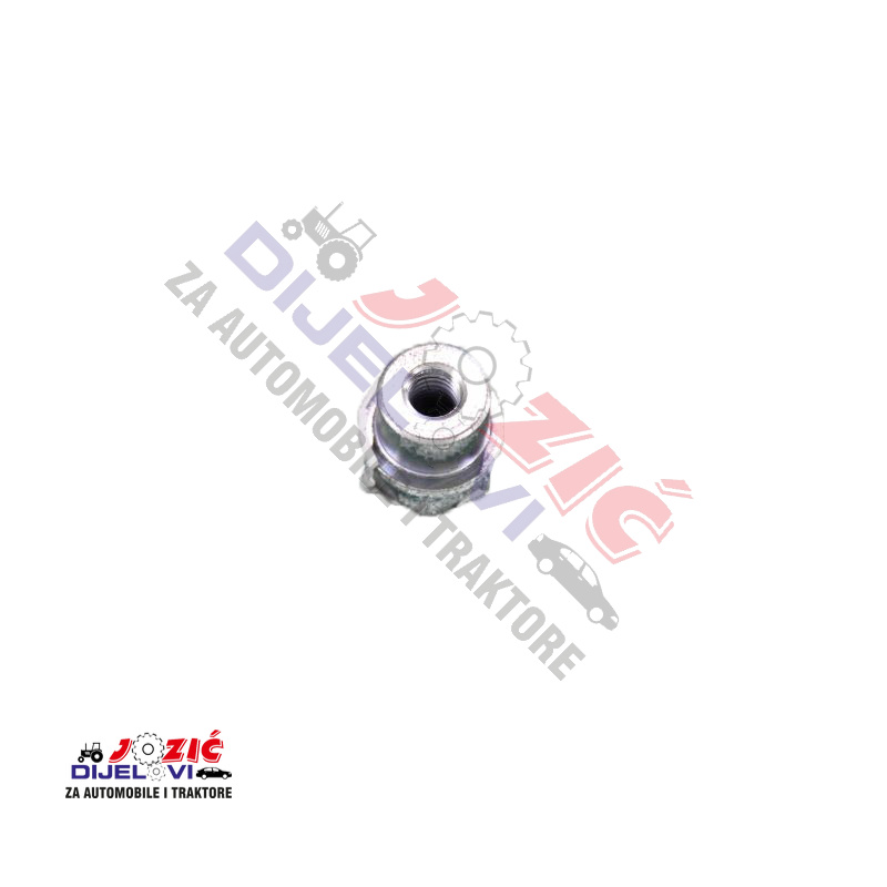 Daisy on the Ohoopee