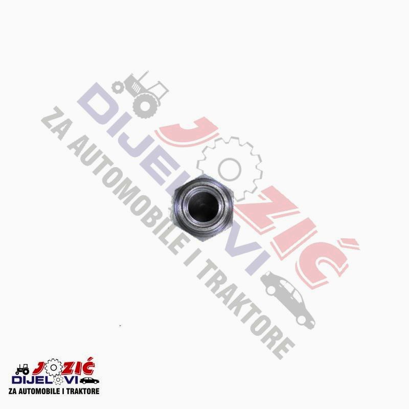 Daisy on the Ohoopee