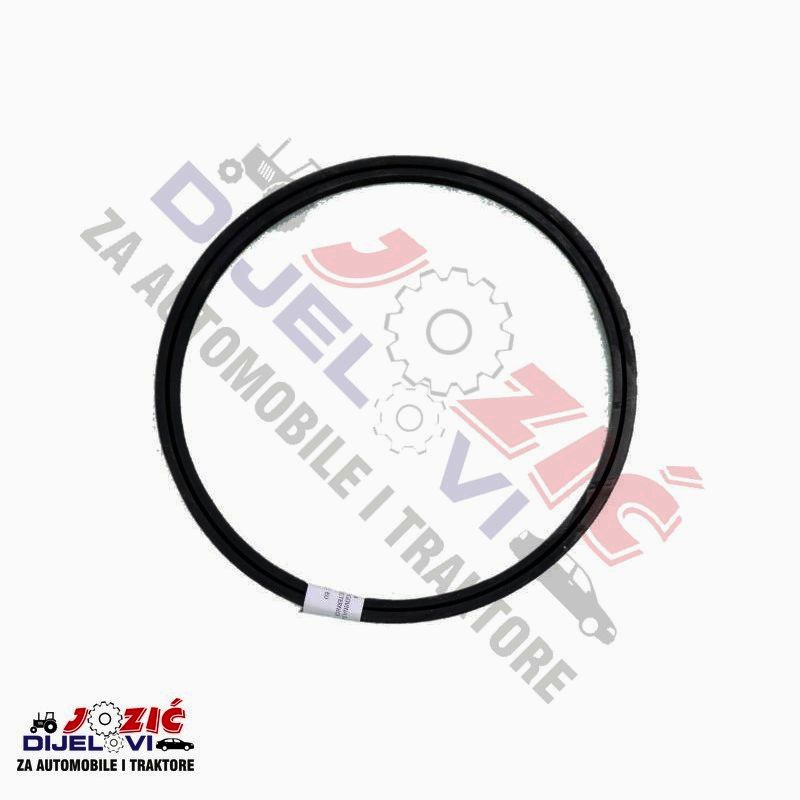 Daisy on the Ohoopee