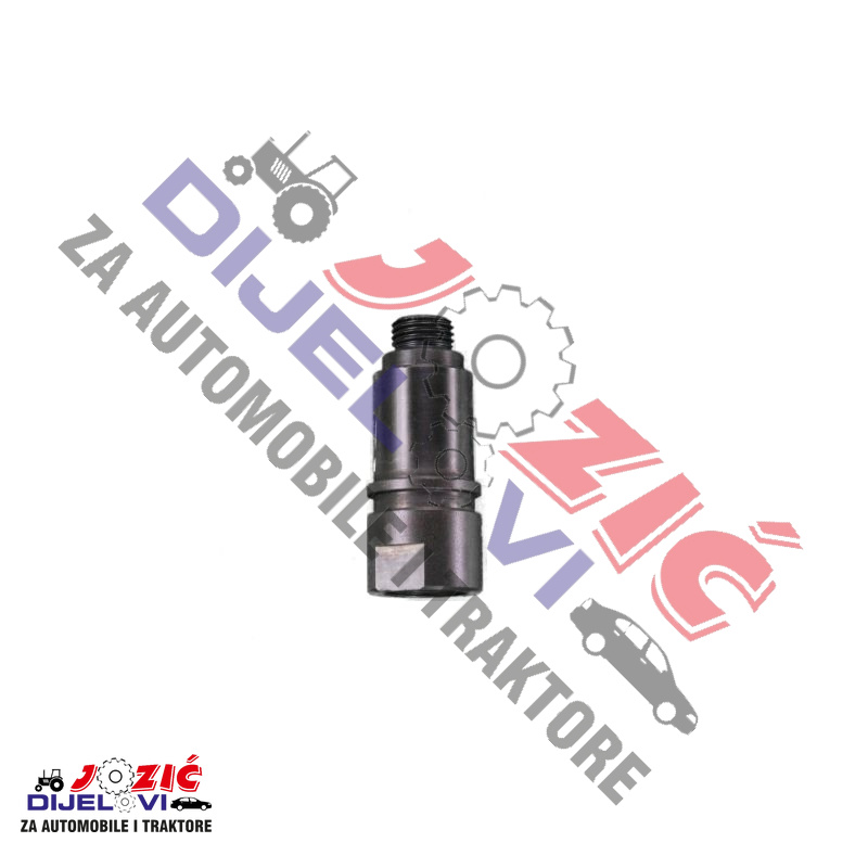 Daisy on the Ohoopee