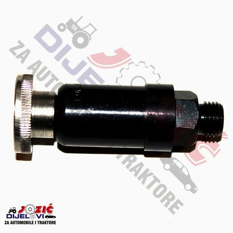 Daisy on the Ohoopee