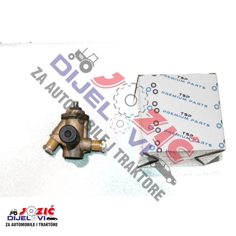 Daisy on the Ohoopee