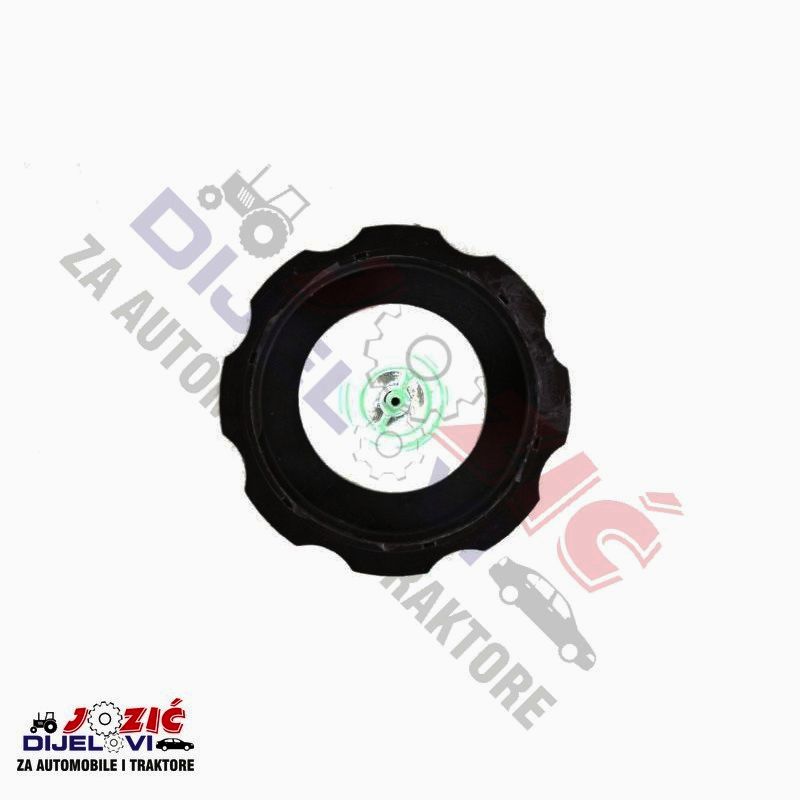 Daisy on the Ohoopee