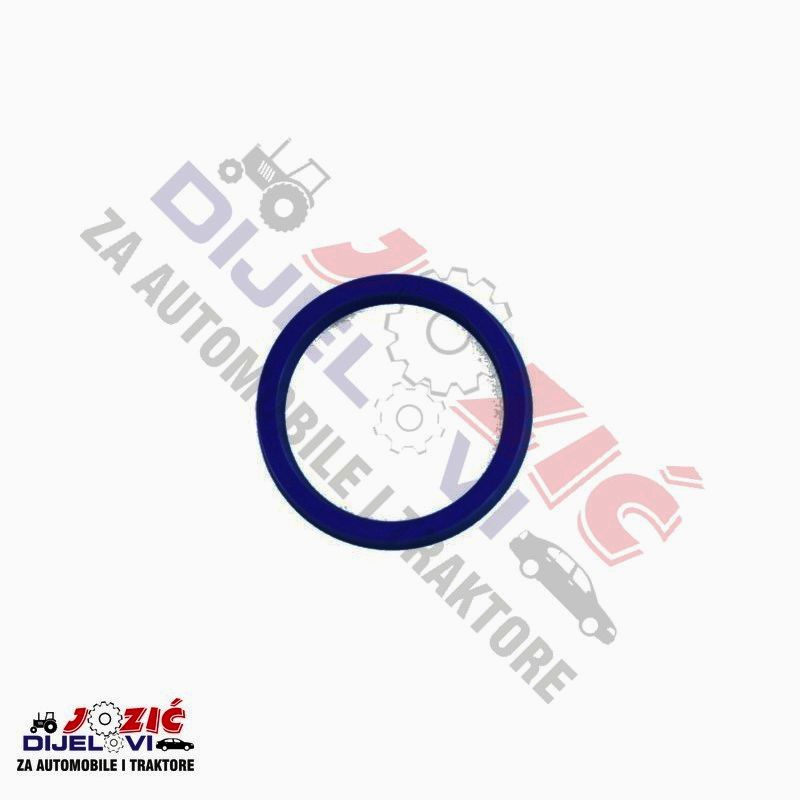 Daisy on the Ohoopee