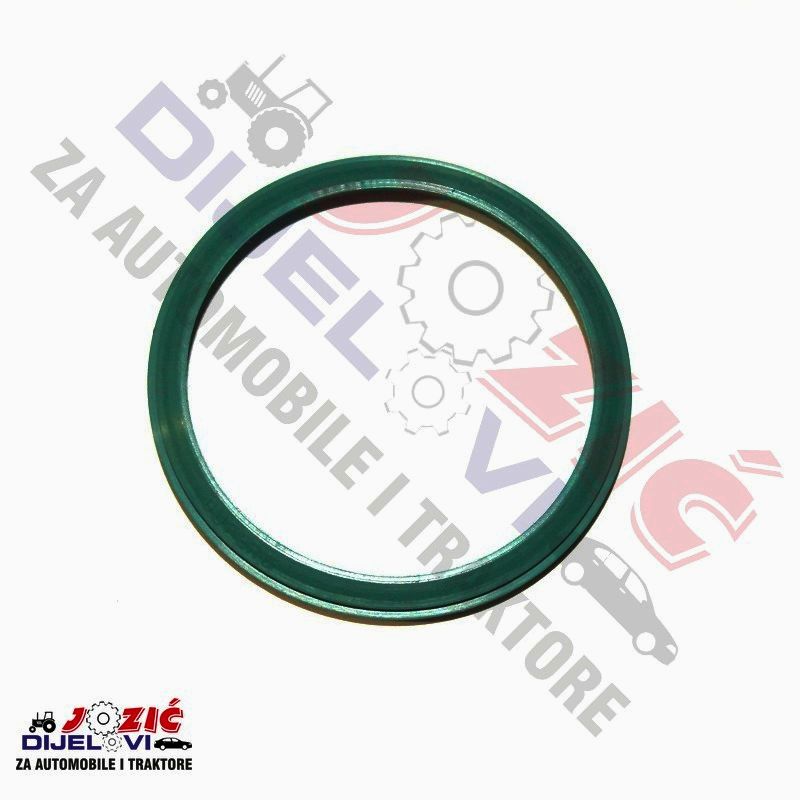 Daisy on the Ohoopee