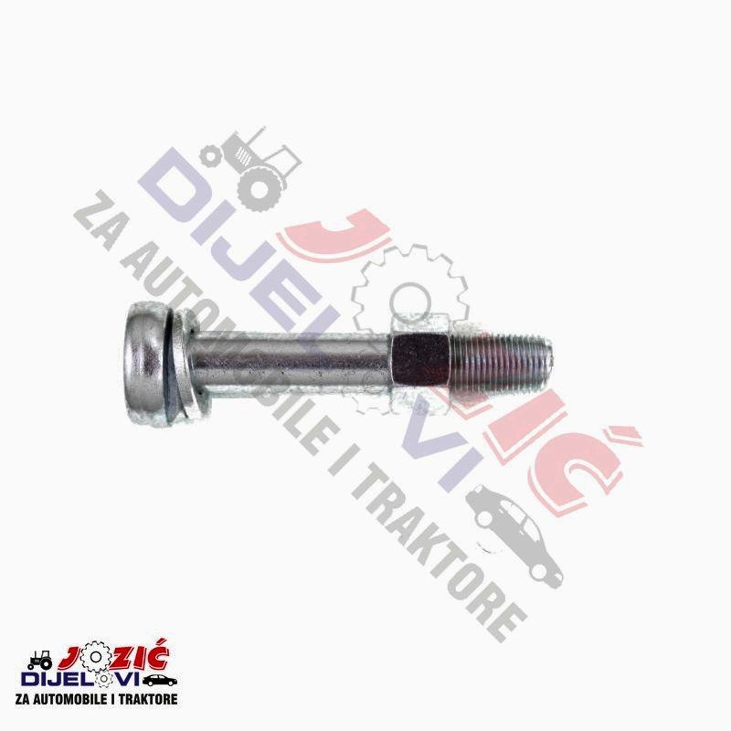 Daisy on the Ohoopee