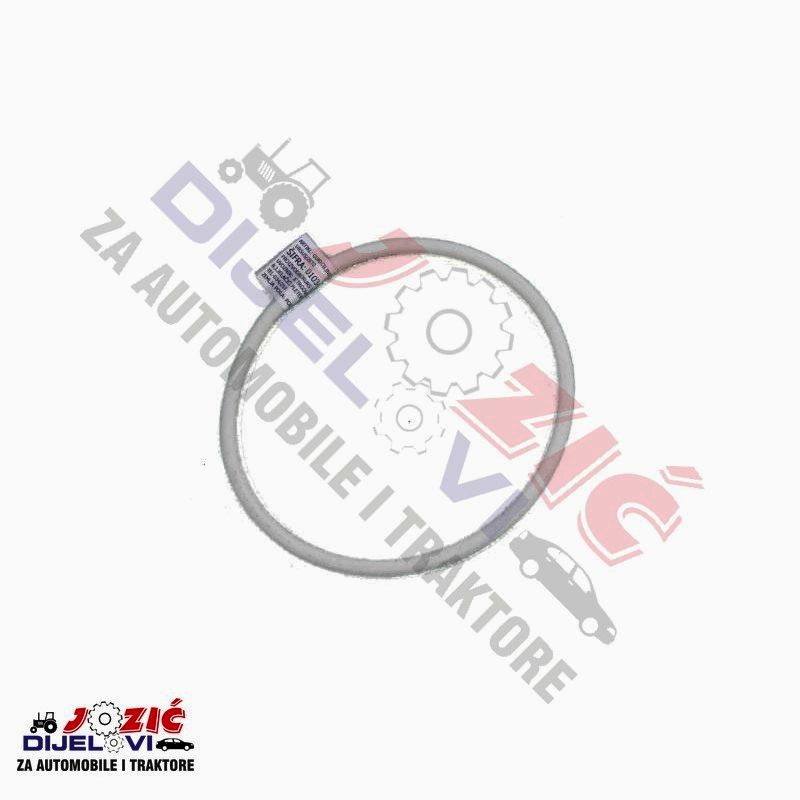 Daisy on the Ohoopee