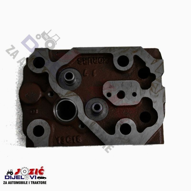 Daisy on the Ohoopee