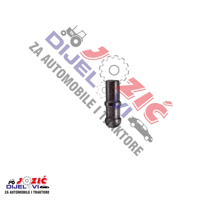 Daisy on the Ohoopee