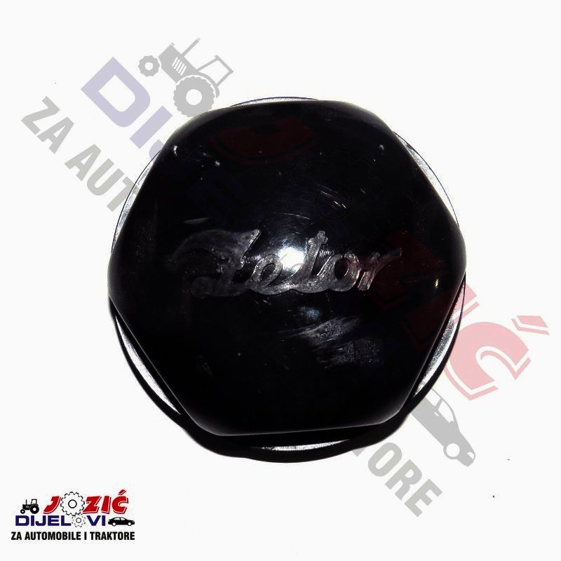 Daisy on the Ohoopee