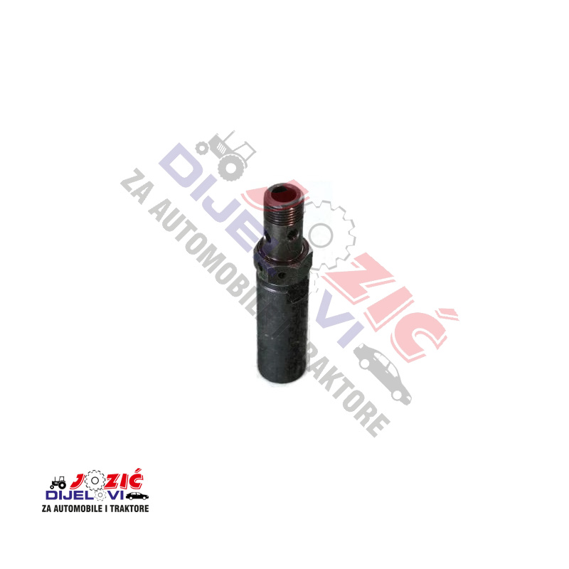 Daisy on the Ohoopee