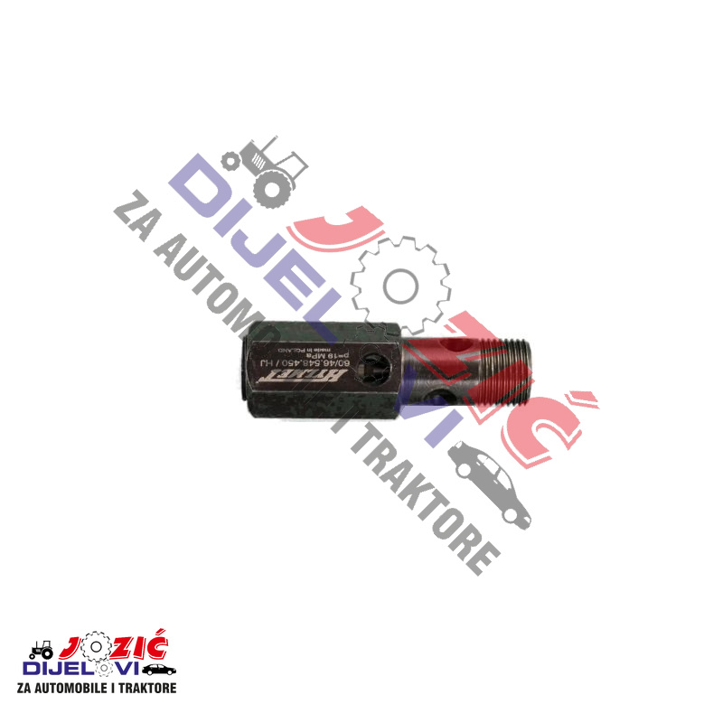 Daisy on the Ohoopee