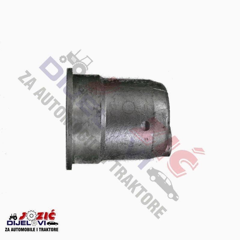 Daisy on the Ohoopee