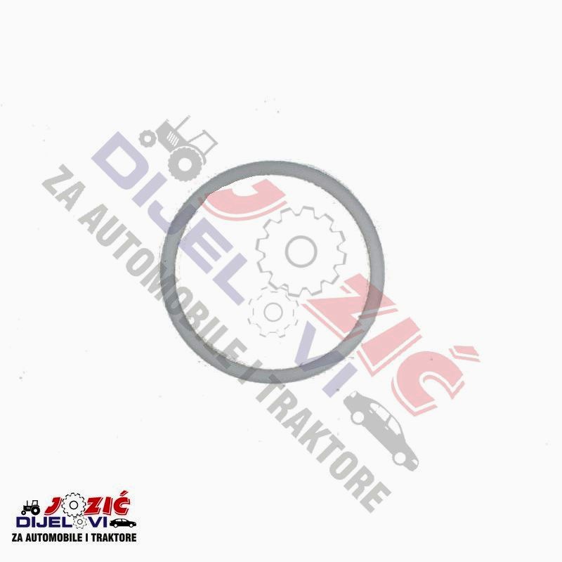 Daisy on the Ohoopee