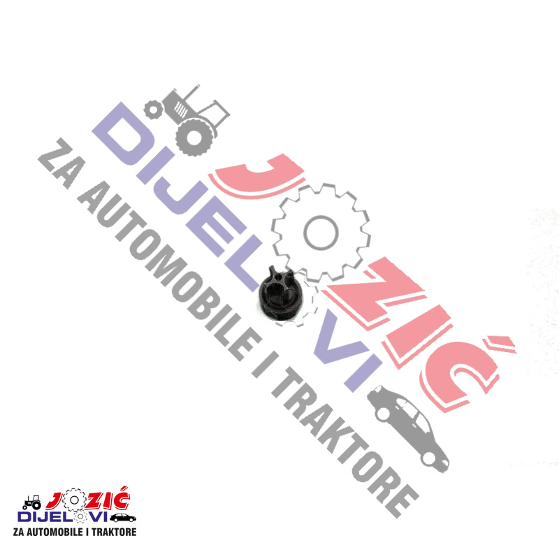 Daisy on the Ohoopee