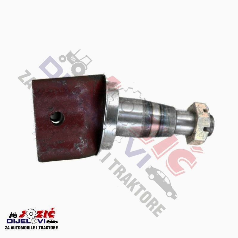 Daisy on the Ohoopee