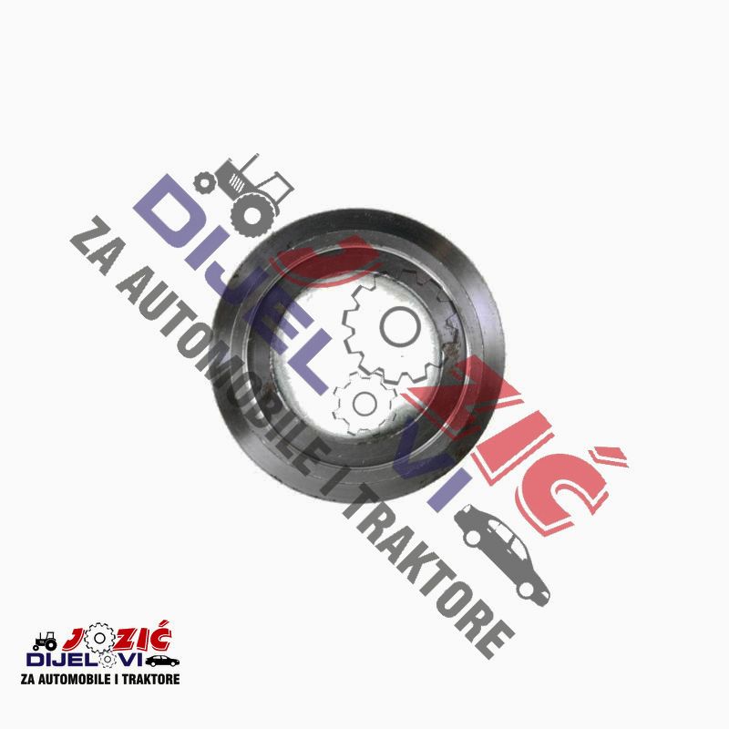 Daisy on the Ohoopee