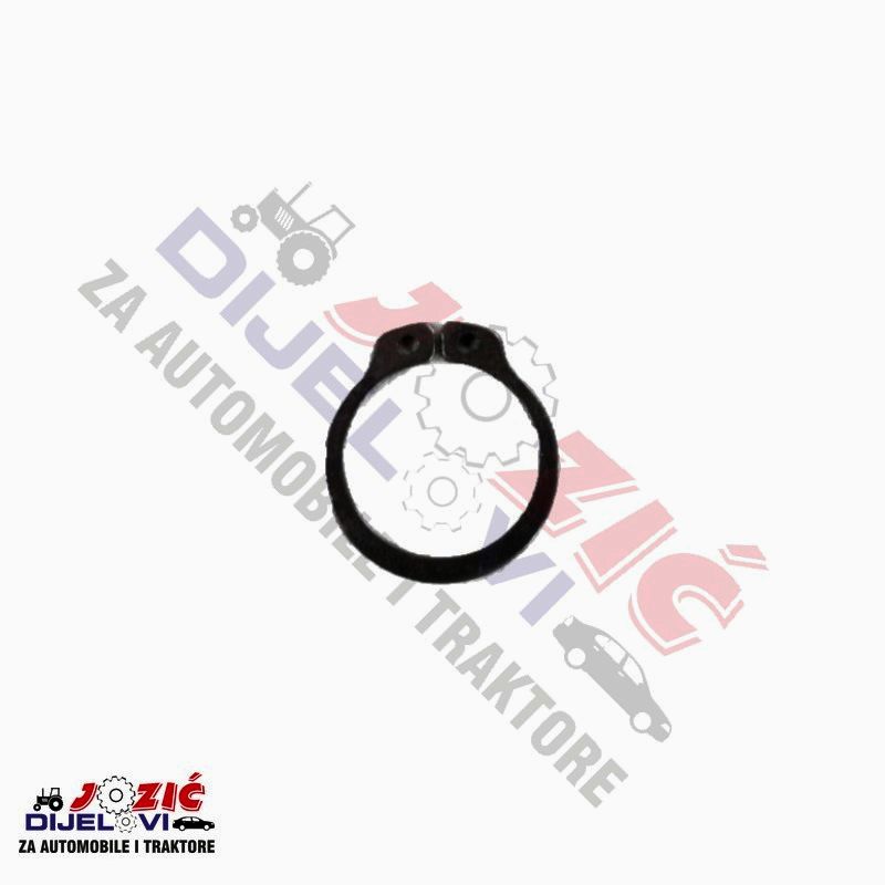 Daisy on the Ohoopee